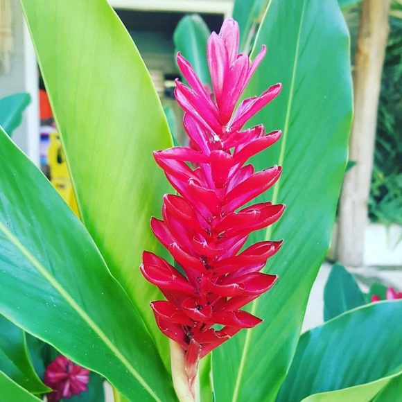 Hello! - Picture 5 of 7